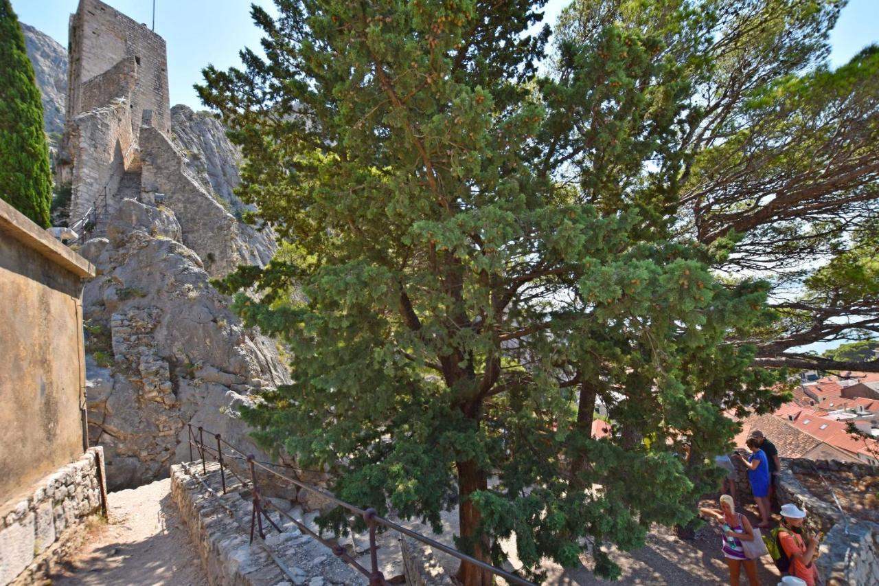 Apartment Mate Omiš Extérieur photo